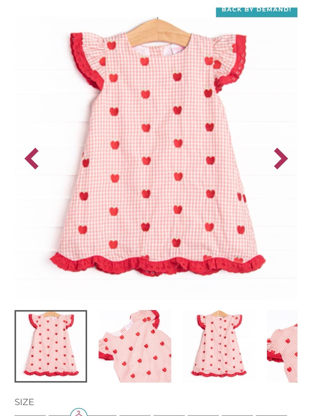 NEW never worn Red Apple Pink Gingham Shift Dress for Kids